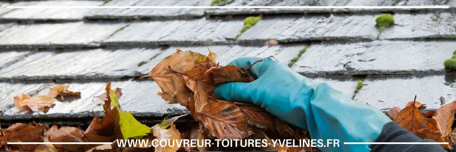 nettoyage de gouttière à Croissy-sur-Seine